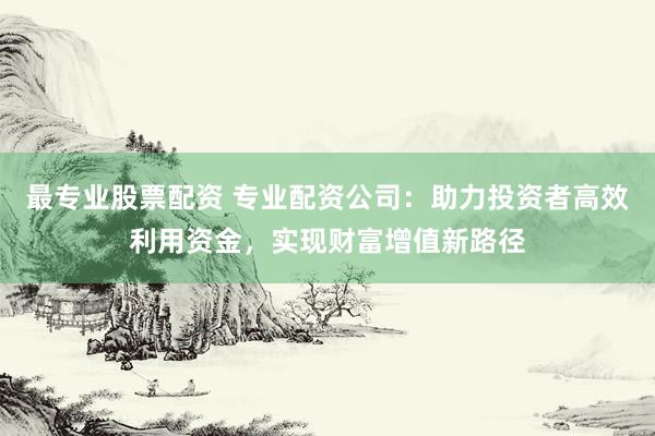 最专业股票配资 专业配资公司:助力投资者高效利用资金,实现财富增值新路径