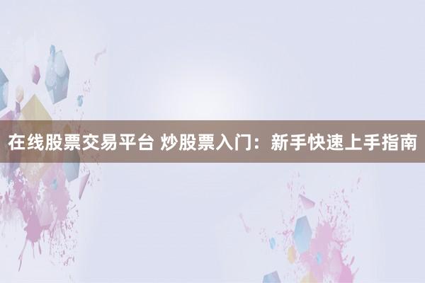 在线股票交易平台 炒股票入门：新手快速上手指南