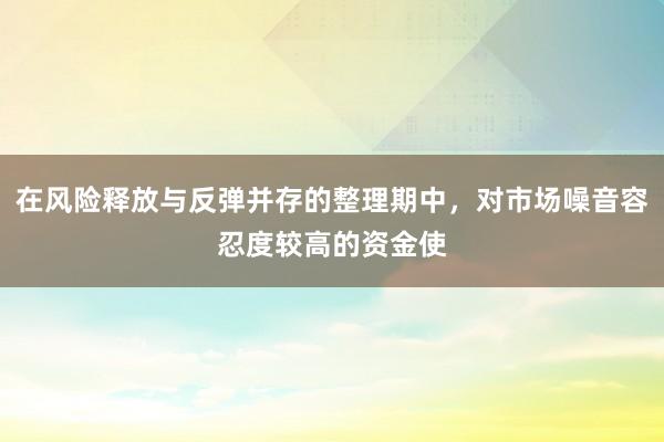 在风险释放与反弹并存的整理期中，对市场噪音容忍度较高的资金使