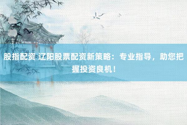 股指配资 辽阳股票配资新策略：专业指导，助您把握投资良机！