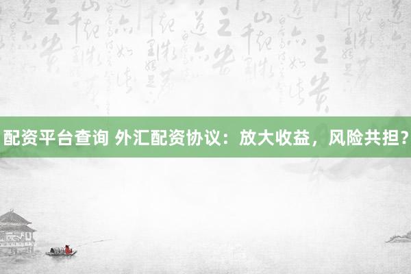 配资平台查询 外汇配资协议:放大收益,风险共担?