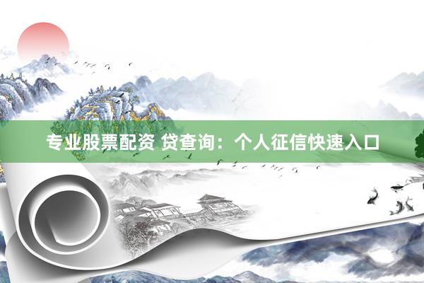 专业股票配资 贷查询：个人征信快速入口