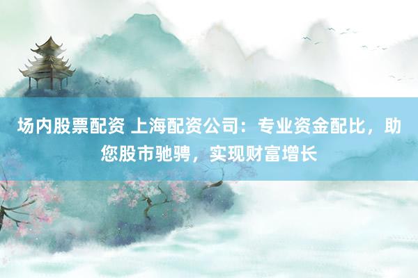场内股票配资 上海配资公司：专业资金配比，助您股市驰骋，实现财富增长